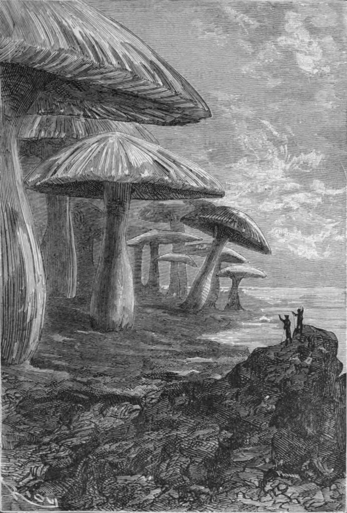 Viaggio al centro della Terra