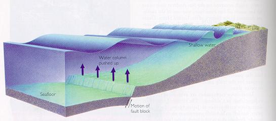 tsunami-terremoto