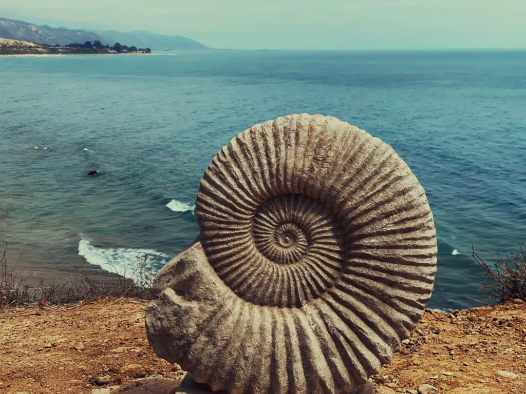 La Fossa delle Marianne, nelle oscure profondità della Terra