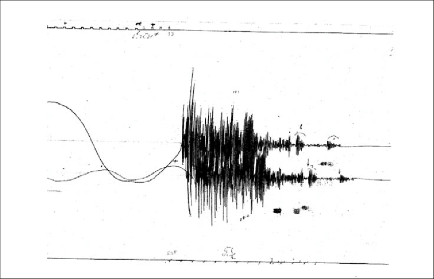 sismogramma-terremoto-messina-1908