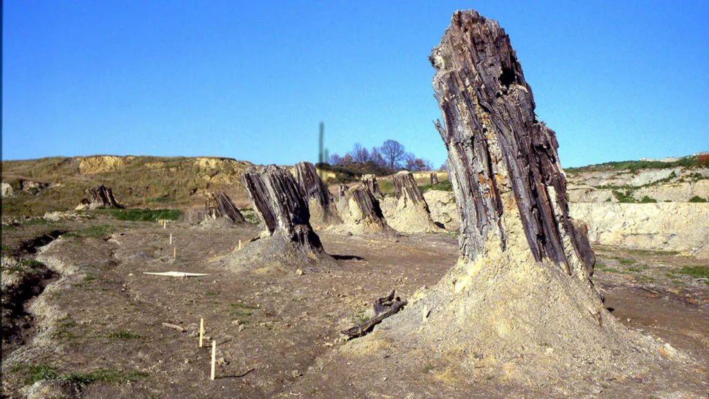 la foresta fossile di Dunarobba