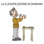 classificazione-Dunham