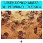 L'estinzione di massa del Permiano-Triassico