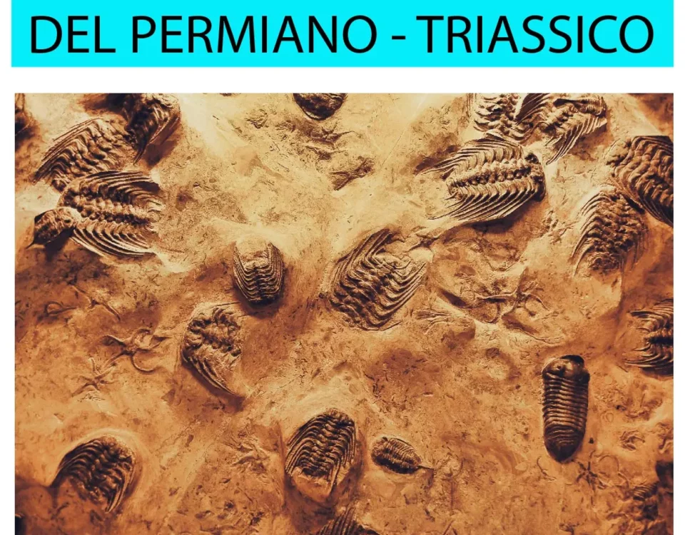 L'estinzione di massa del Permiano-Triassico
