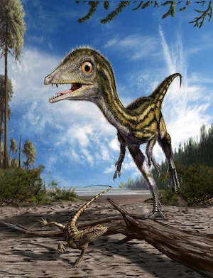 Ricostruzione del dinosauro Ciro. Fonte: Società Geologica Italiana.